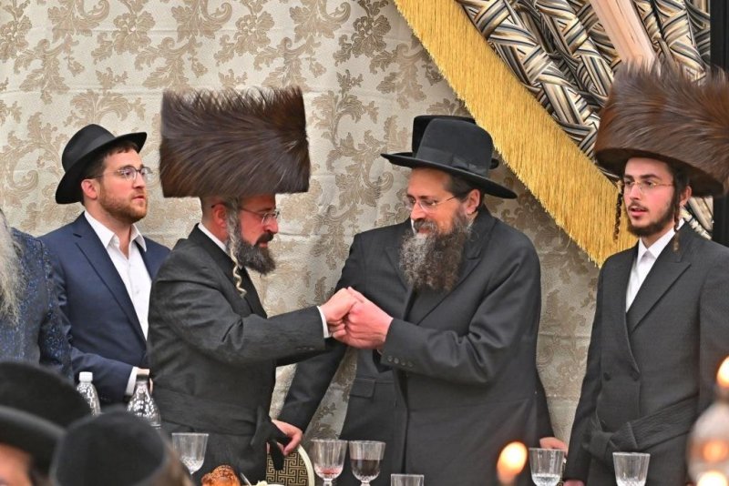 יהושע פרוכטר