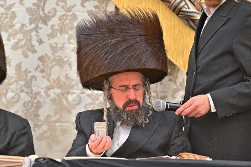 יהושע פרוכטר