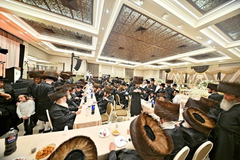 יהושע פרוכטר