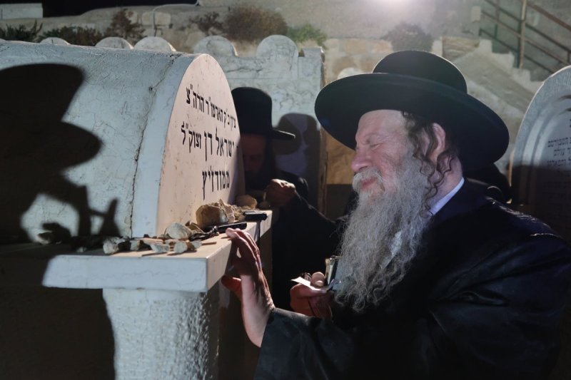 י. פריד