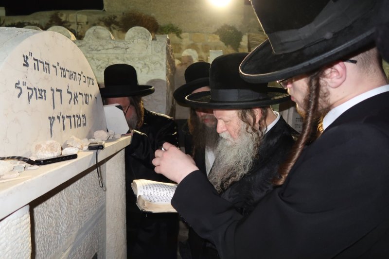 י. פריד