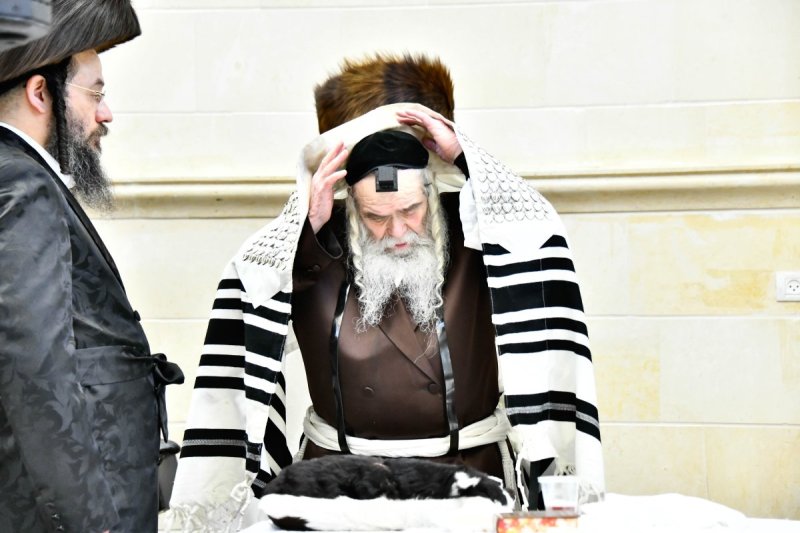 שוקי לרר