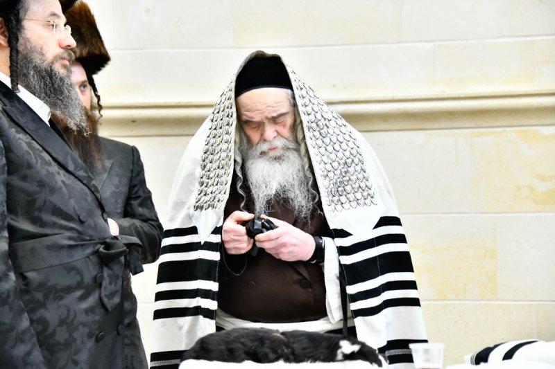 שוקי לרר