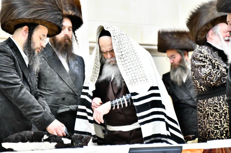 שוקי לרר