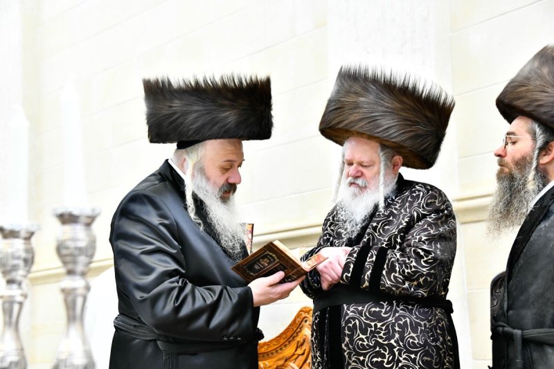 שוקי לרר