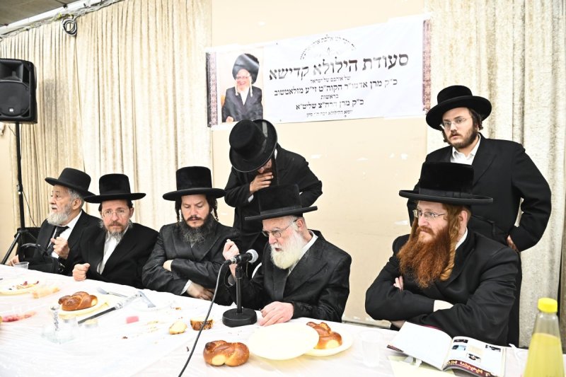שוקי לרר