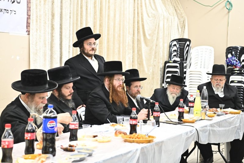 שוקי לרר