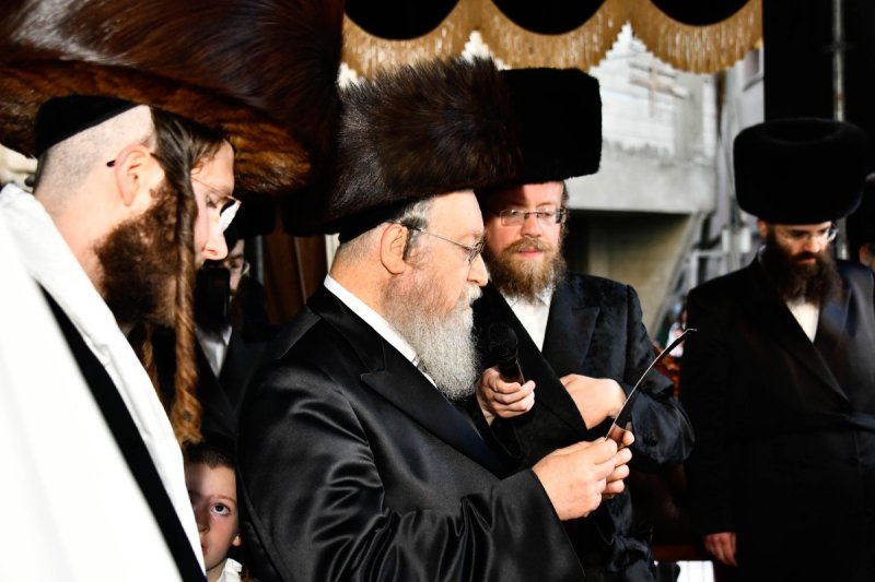 שוקי לרר