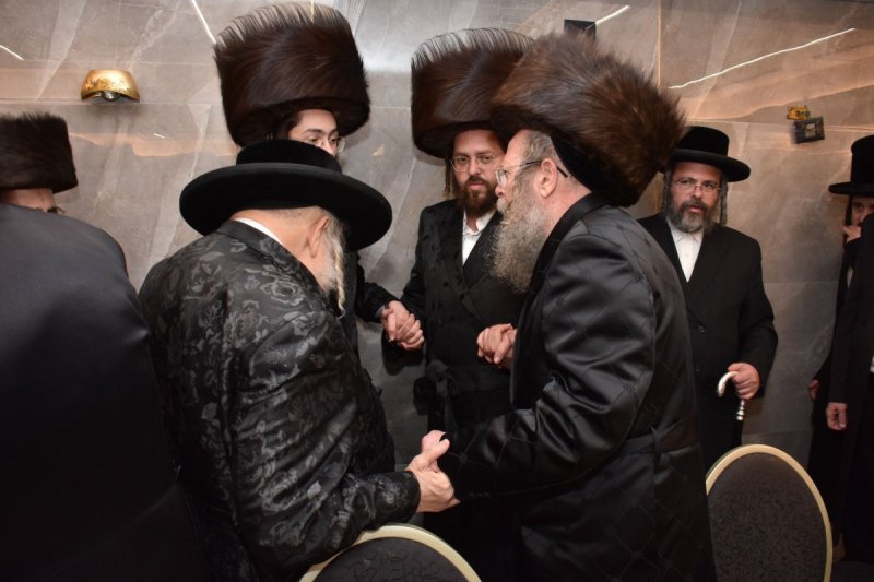 יהודה פרקוביץ