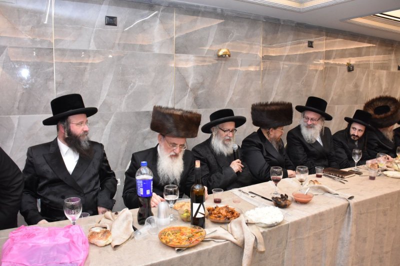 יהודה פרקוביץ