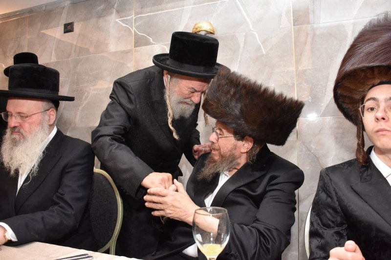 יהודה פרקוביץ