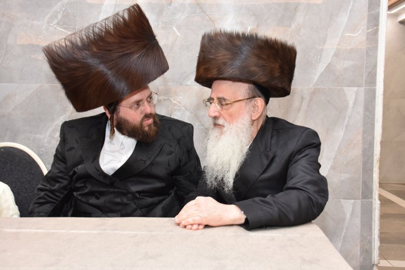 יהודה פרקוביץ