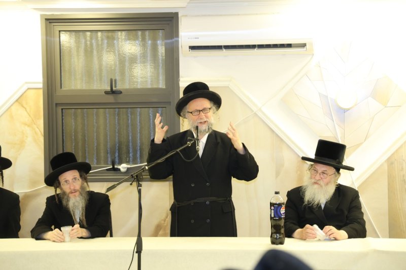 שלומי טריכטר