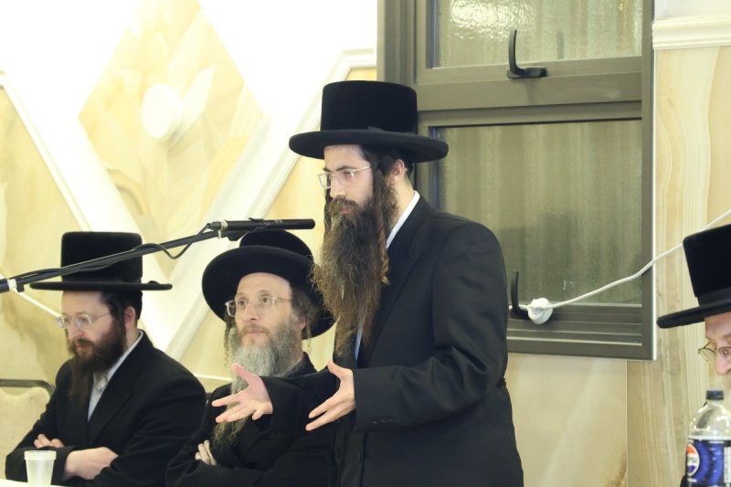 שלומי טריכטר