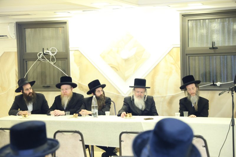 שלומי טריכטר