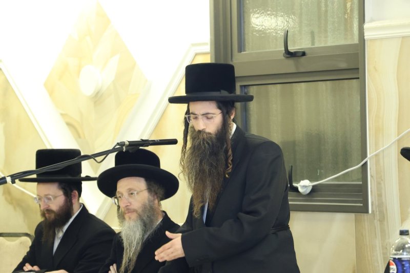 שלומי טריכטר