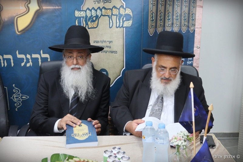 אלנתן אלוני
