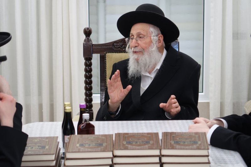 מ. שיין
