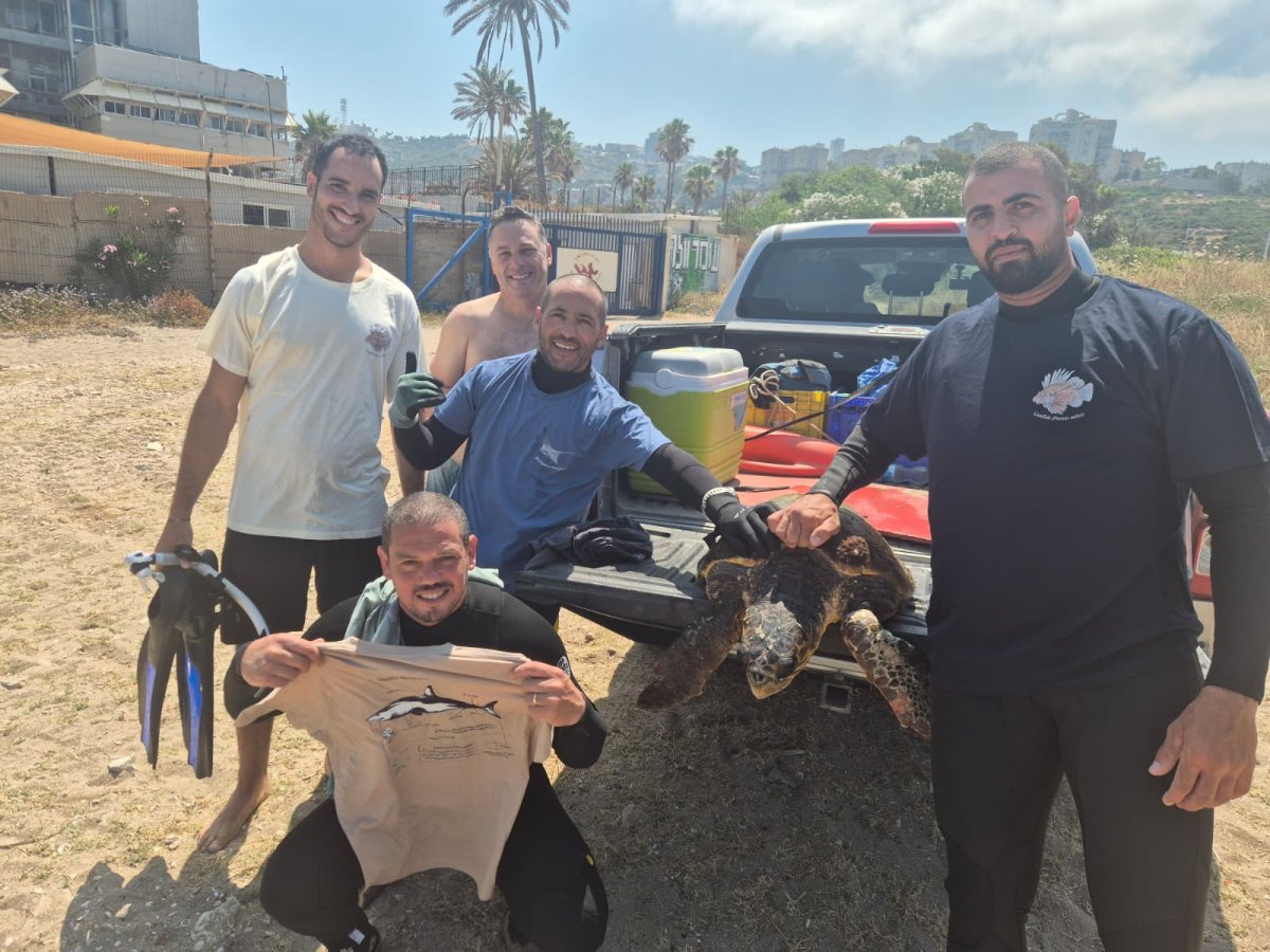 איליה בסקין, רשות הטבע והגנים