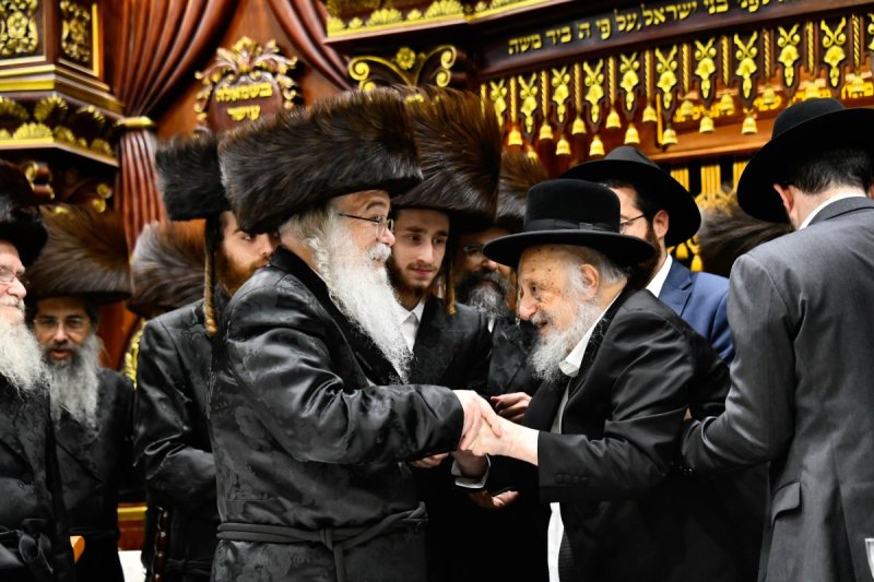 שוקי לרר