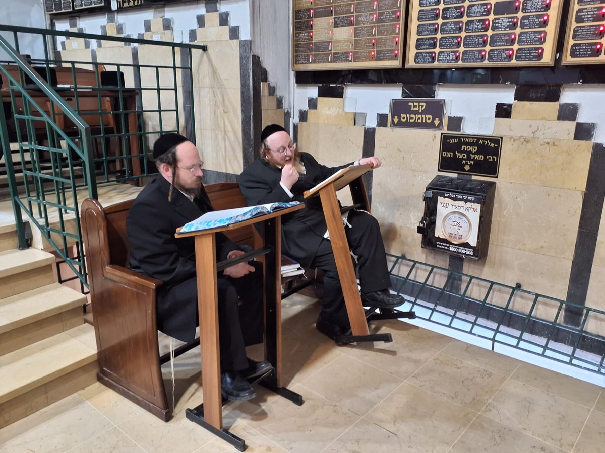 באדיבות המצלם