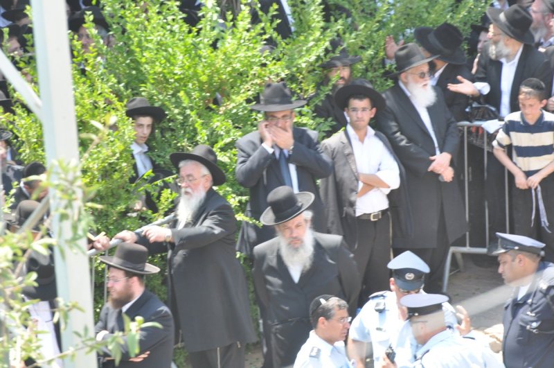 משה גולדשטיין
