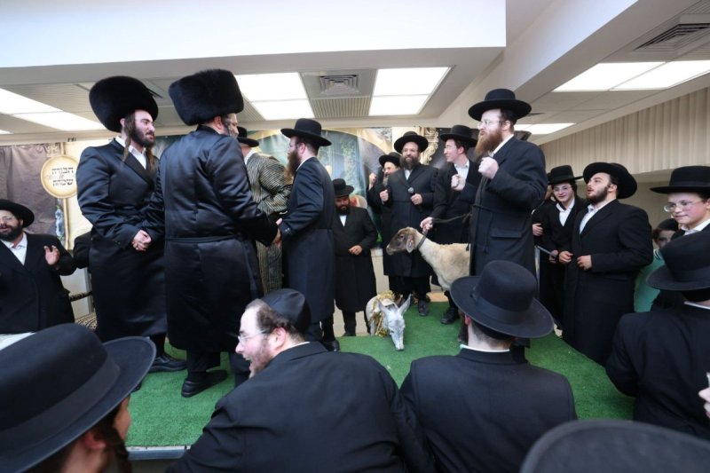 באדיבות המצלם