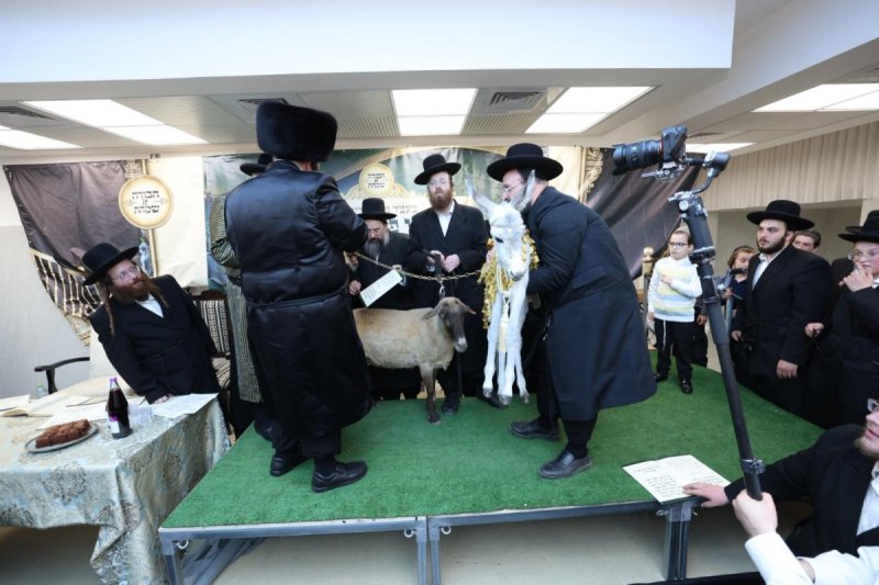 באדיבות המצלם