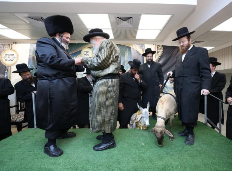 באדיבות המצלם