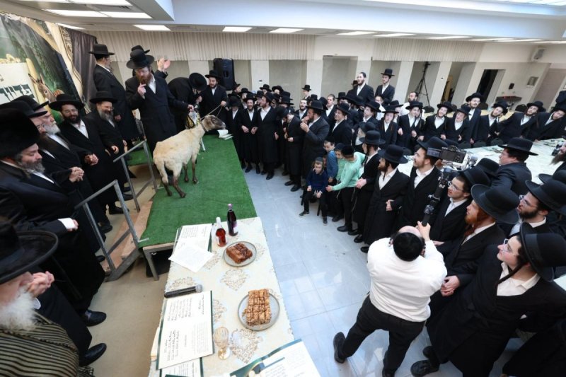 באדיבות המצלם