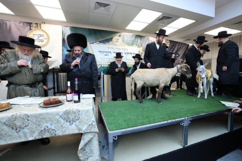 באדיבות המצלם