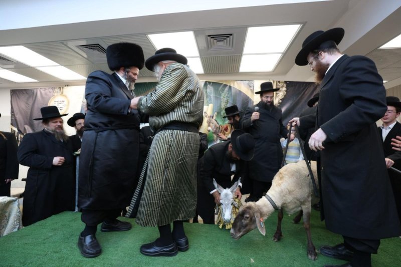 באדיבות המצלם
