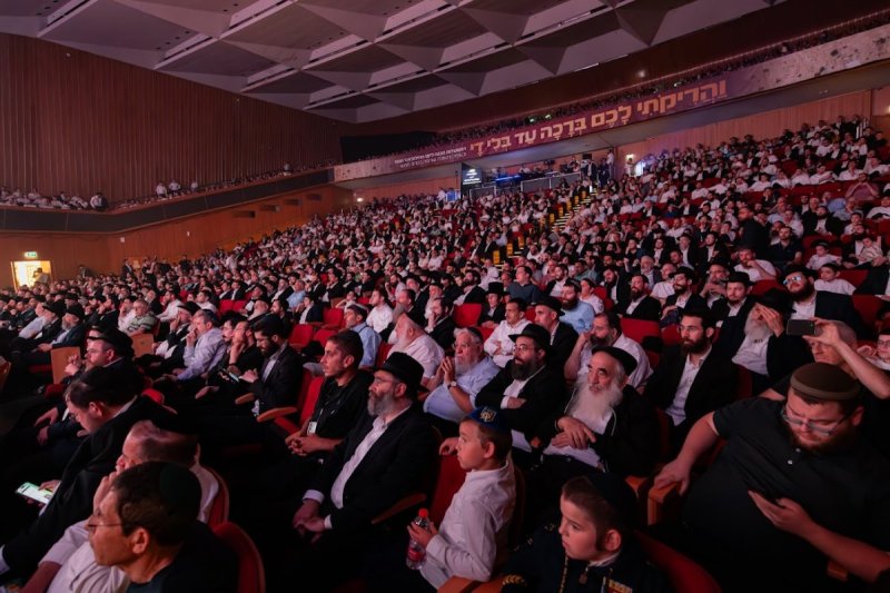 חיים טויטו הפקה צבעים הפקות