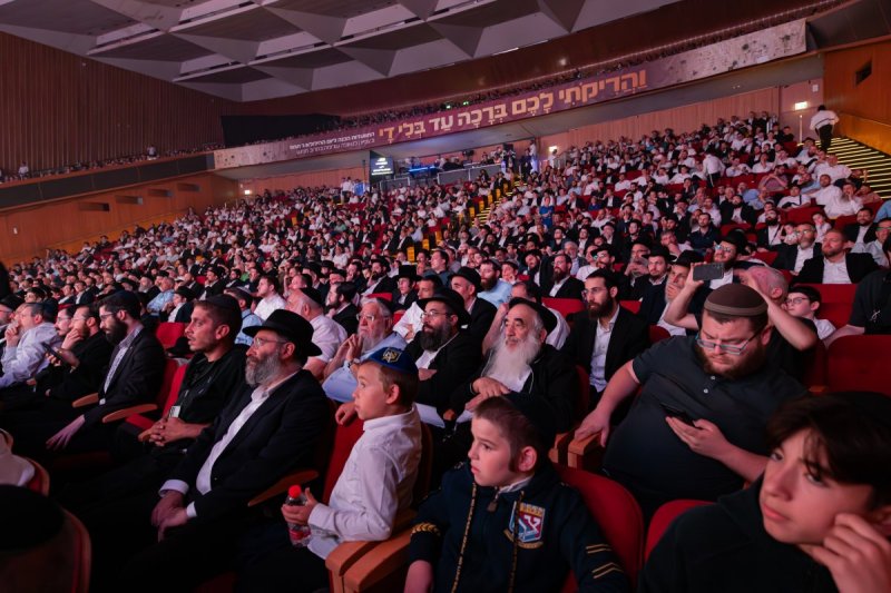 חיים טויטו הפקה צבעים הפקות