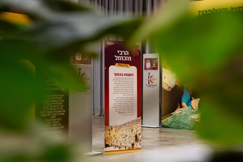 חיים טויטו הפקה צבעים הפקות