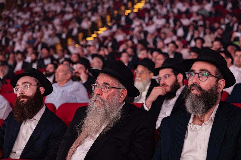 חיים טויטו הפקה צבעים הפקות