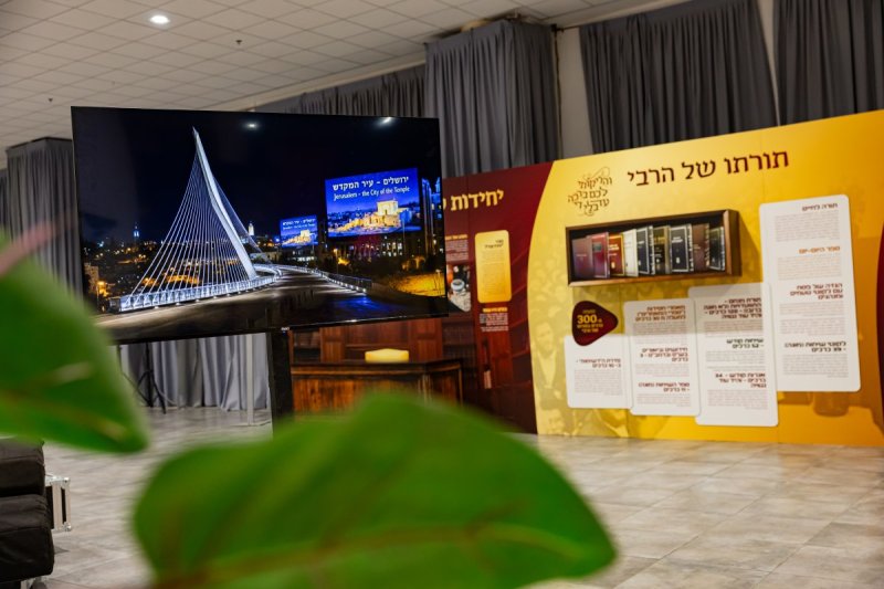 חיים טויטו הפקה צבעים הפקות