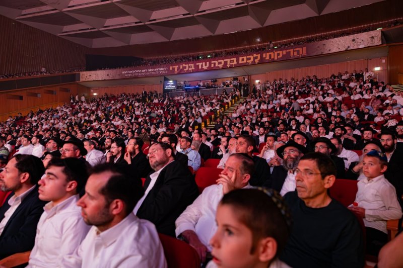 חיים טויטו הפקה צבעים הפקות