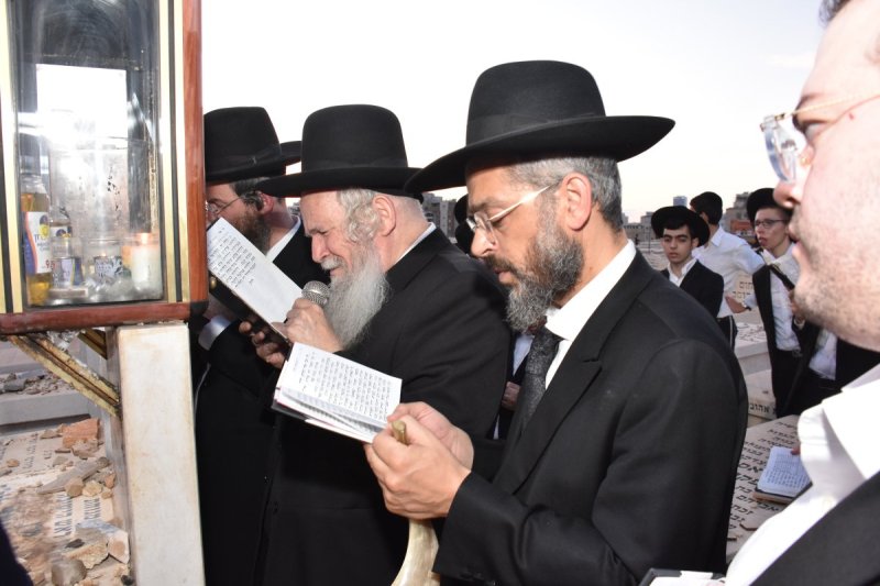יהודה פרקוביץ