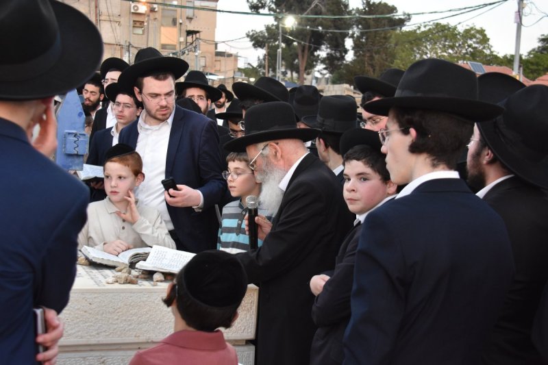 יהודה פרקוביץ