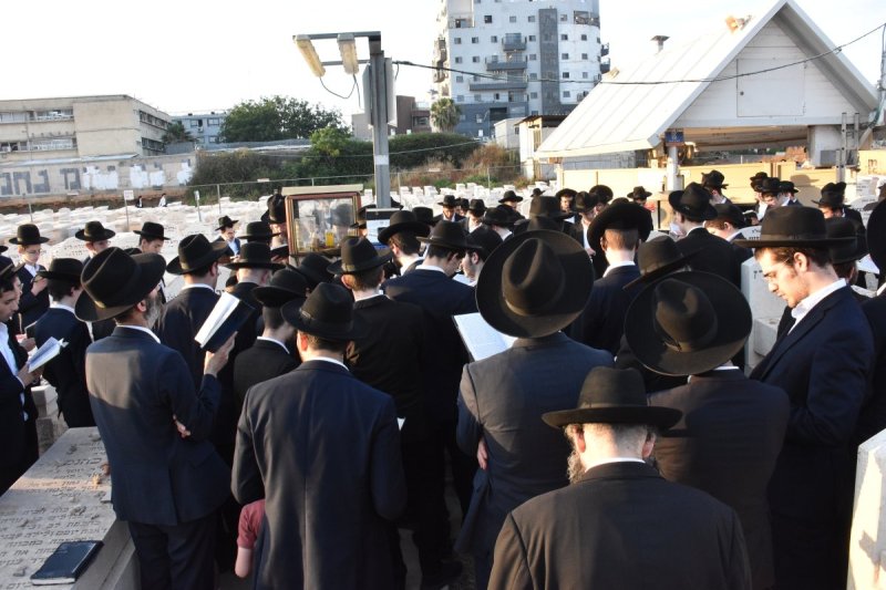 יהודה פרקוביץ