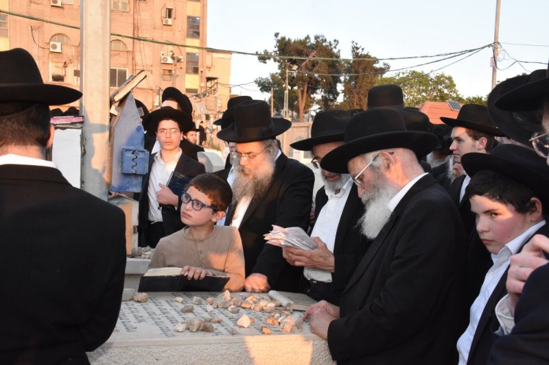 יהודה פרקוביץ