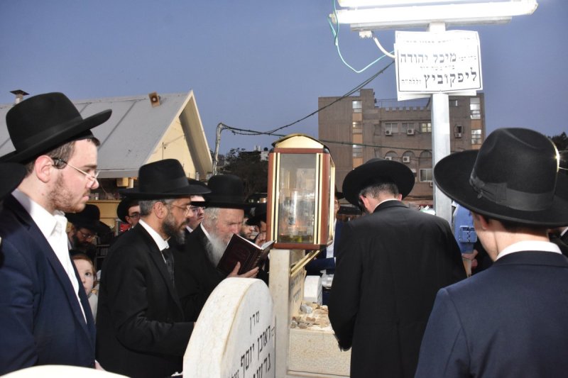 יהודה פרקוביץ