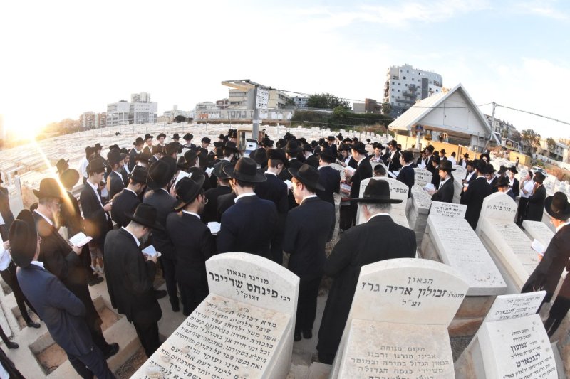 יהודה פרקוביץ