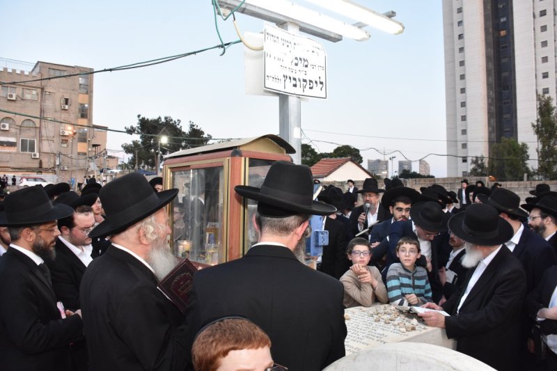 יהודה פרקוביץ
