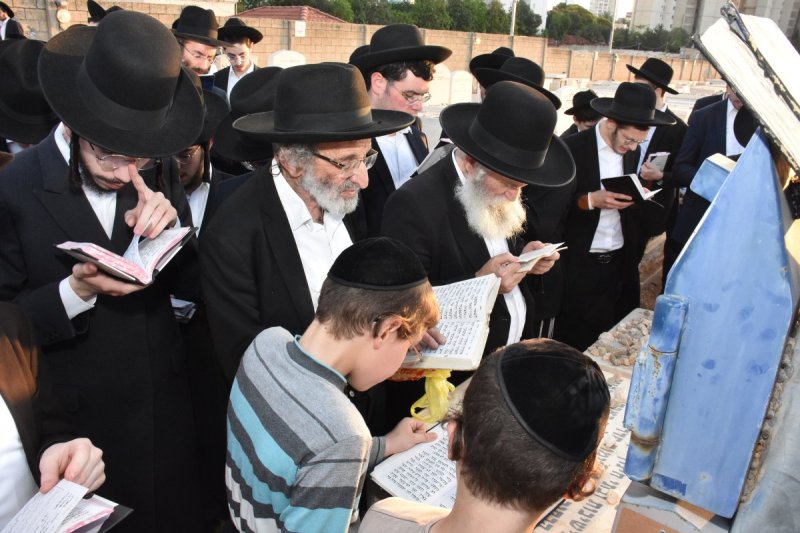 יהודה פרקוביץ
