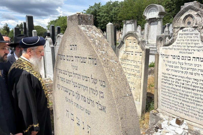 יעקב כהן