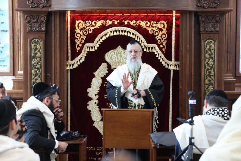 יעקב כהן