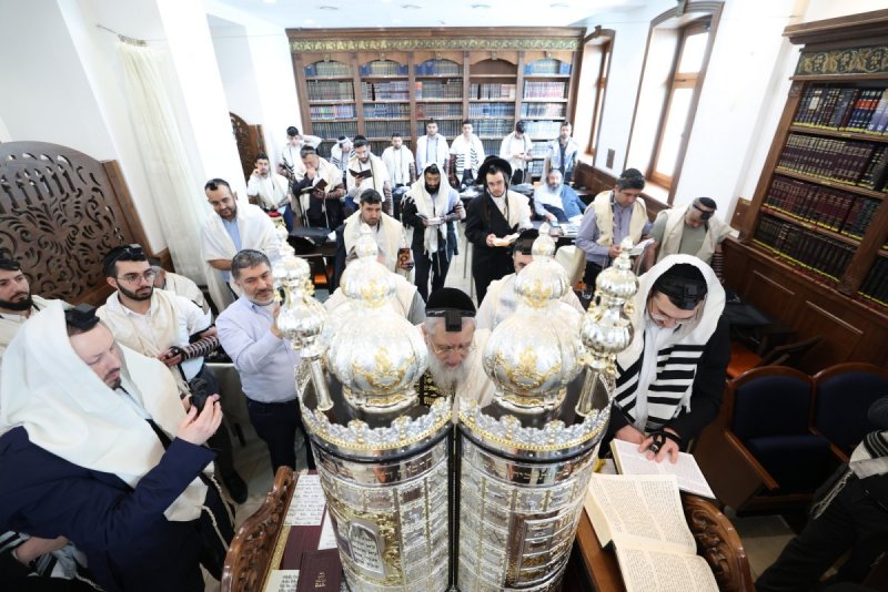 יעקב כהן