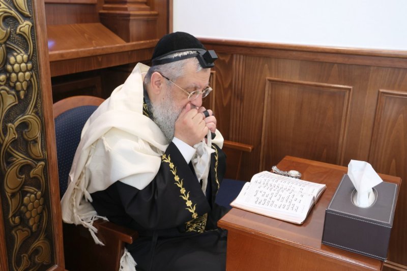 יעקב כהן